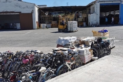 190070113_4065870206805663_5208179988816159125_n