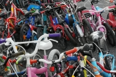 272670943_4848381178554558_8098745905296625369_n