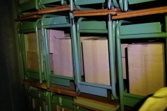 249854550_4540114889381190_615415591726886240_n