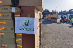 IMG_20250531_084629-Grande