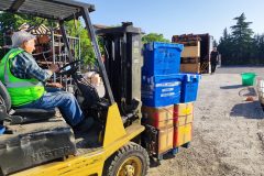 IMG_20250531_091015-Grande