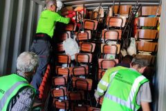 IMG_20250531_094025-Grande