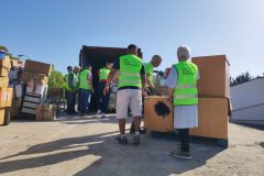 IMG_20250531_094828_BURST1-Grande