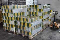 Palets-2-IAN-abril-22