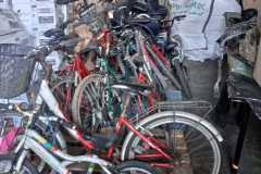 Imagen-de-WhatsApp-2023-10-26-a-las-17.33.41_a7c88101