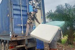 a7866406-7154-40e1-8651-6c77b318d128-Pequena