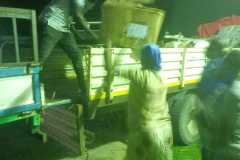 bfa7070c-8f67-4703-a10a-2e49e0165021