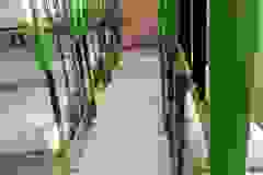 f645ef1f-cacc-4933-8d32-210c48e1e6e5