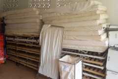 8e509069-b325-4492-85b5-cbe853d59143