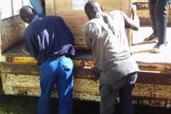 0afcf3bb-4f17-4dbb-bf87-736494c70221