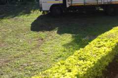 4c03ace6-3ea8-43f7-bae8-491a39897762