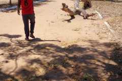 aef447ab-ea89-4653-b9ff-a856976c6ad1