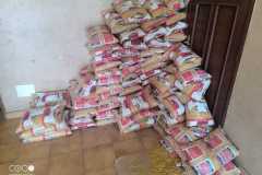 88254365-e1a1-4ac7-89ce-f9a39dba21aa