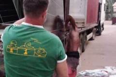 39b9542e-7f36-4f1e-aaf4-892b44cdd326