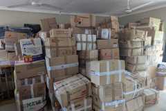 1bb5bb6d-690e-4d74-a3a7-46866438d768