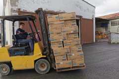 4ed87acb-1a1e-49c7-bb2d-302d46a75533