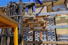 IMG_20220727_153804-Grande