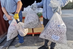 244005557_4459786910747322_6405275997475662223_n