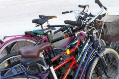 244401374_4459786170747396_2678896675259696000_n