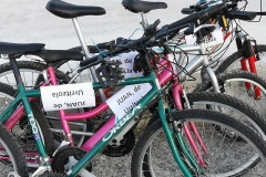 244422165_4459786244080722_1496857922836337541_n