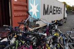 244642367_4459786454080701_8001453385078079323_n