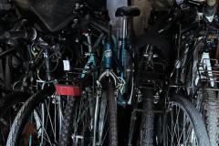 3355dd73-597a-461d-a576-70544f29b865