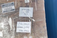 IMG_20260314_094944-Grande