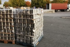 246054119_4500691026656910_8288978425548936981_n