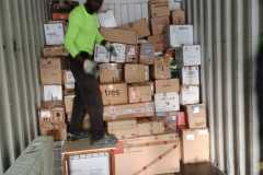 1_b6995ace-41cd-41e7-a53e-e543c6feac74