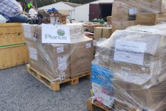 IMG_20250920_090212-Grande