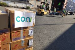 IMG_20250923_095938_BURST1-Grande