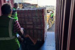 IMG_20250923_103705-Grande