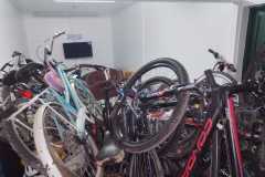 d1003bf2-4c28-4412-8aab-362803a5b55b