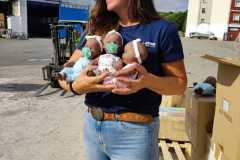 c067b25d-74a2-48b3-bc31-5a3a95c7b6c5