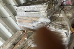 8105950d-4391-4ded-99ad-274091882edf