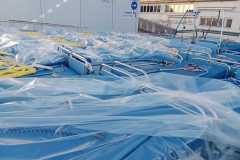 5c64d22d-f669-442f-b476-3d1e5bd8e12c