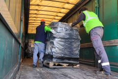 IMG_20260312_101402-Grande