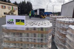 IMG_20260312_104815-Grande