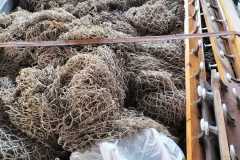 1c717b51-965a-4724-88db-82c7bfd00f0e