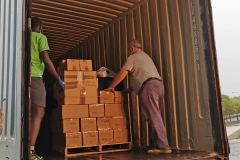 201600342_4135196269873056_7192004254107982557_n