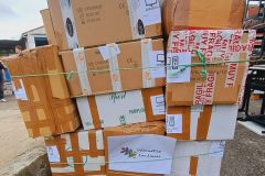 ae05d4f2-c676-4857-bdd7-c72da3b255f0