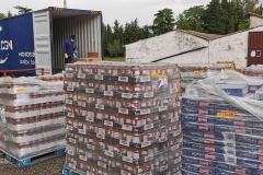 203830374_4145712745488075_1987014162932581721_n