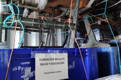 204634461_4145805388812144_1226304270842071412_n