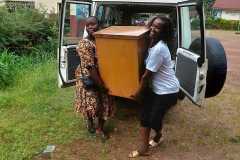 e1b8da37-ea29-4757-a8bd-43a2f54e6384