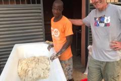 87bbb290-e4a9-41ca-9e22-7b40a202d067