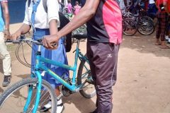 a1953a9f-819c-4434-a36e-6ec572208861-Pequena