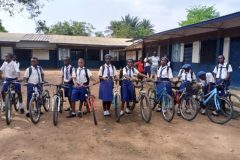 ce270c34-eece-4ced-9c62-064d0caf14bb-Pequena