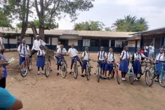 d5a56094-cb76-4d87-9e9a-5e0828b9e353-Pequena