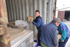 2358b4d1-0435-4530-85f9-167adec0254c