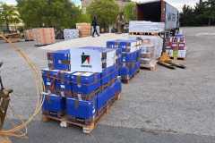 ed7f4581-39c8-4e4e-95f8-d6ca0c6e2863